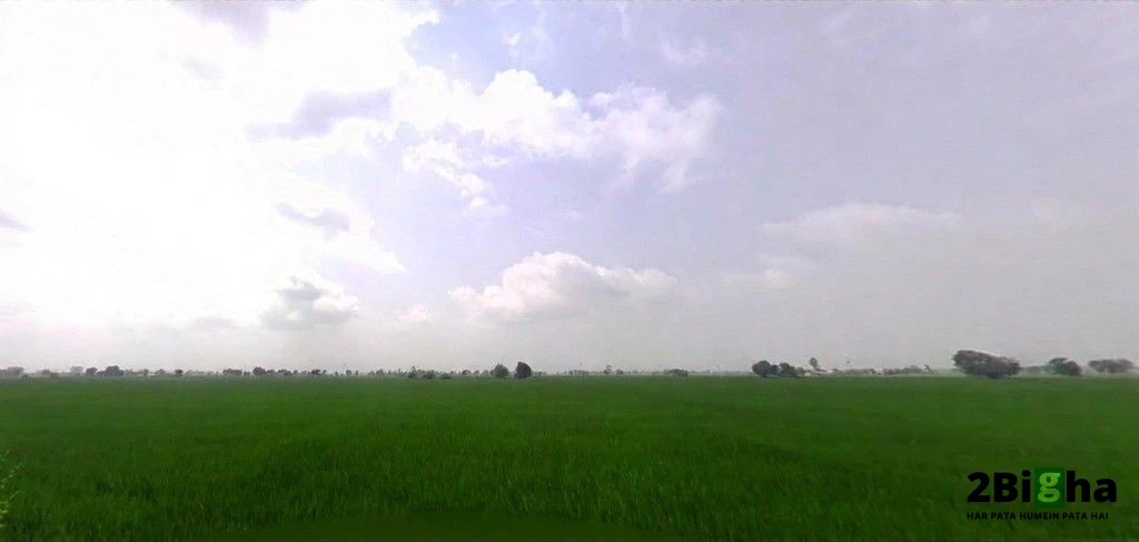 WG64+2MV, VILL, Thana, Haryana 136030, India