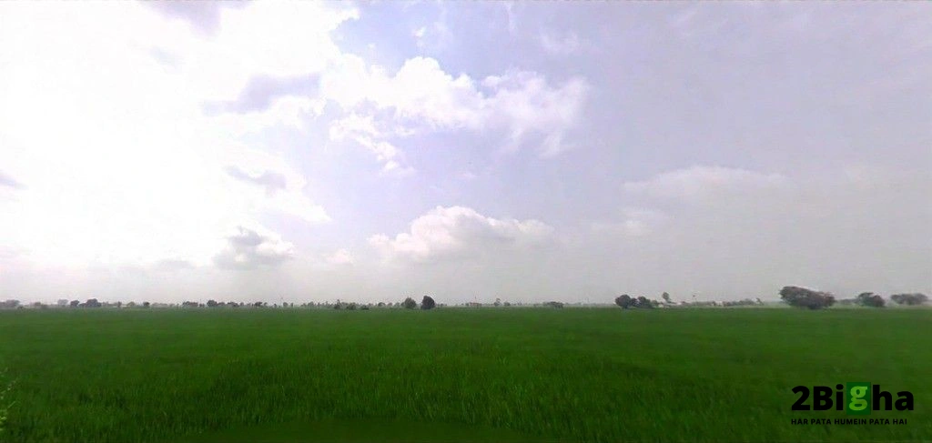 WG64+2MV, VILL, Thana, Haryana 136030, India