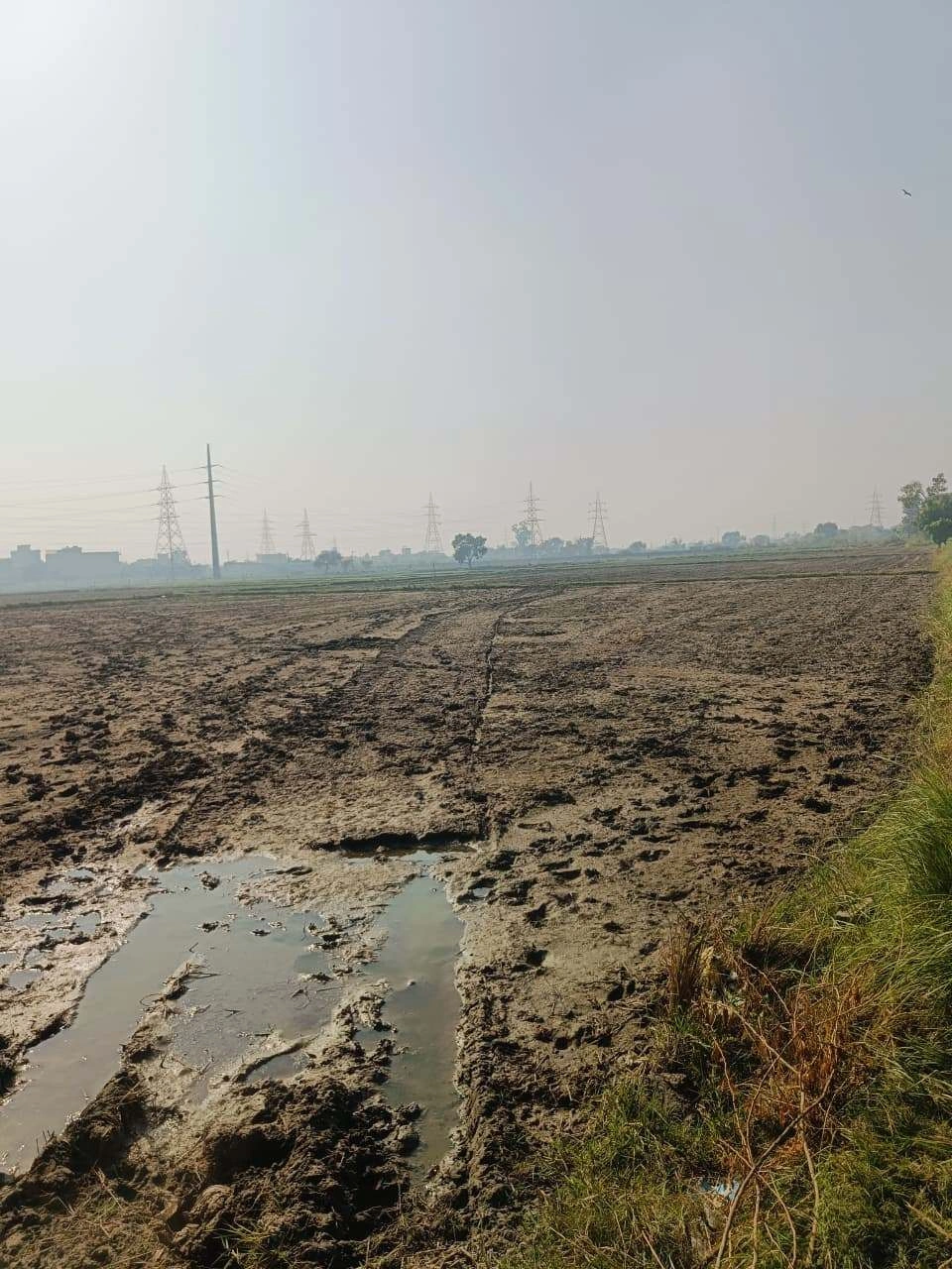 Basai, Mathura, Uttar Pradesh 281501, India