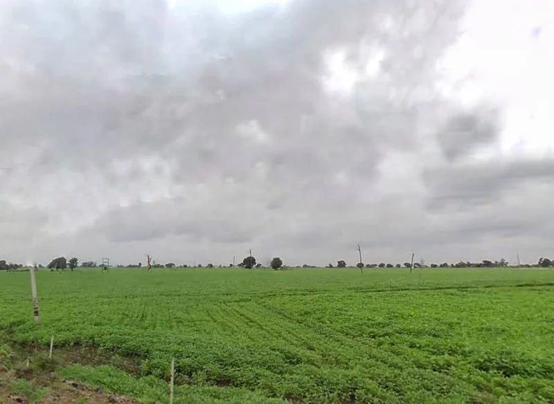 Sirali, Madhya Pradesh 461335, India preview 3