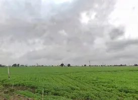 Sirali, Madhya Pradesh 461335, India preview 3