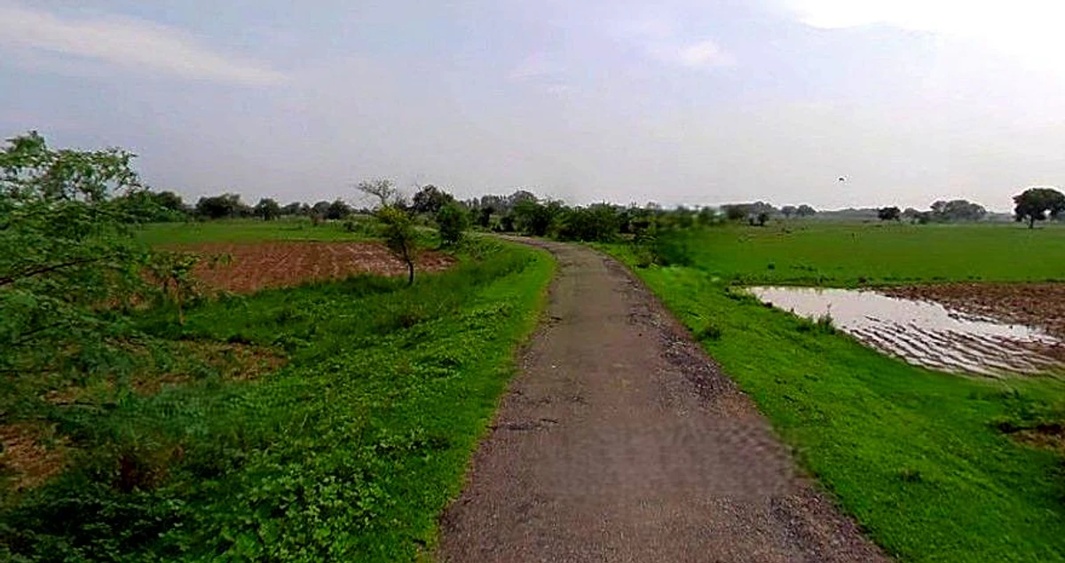 Chandla, Madhya Pradesh 471525, India