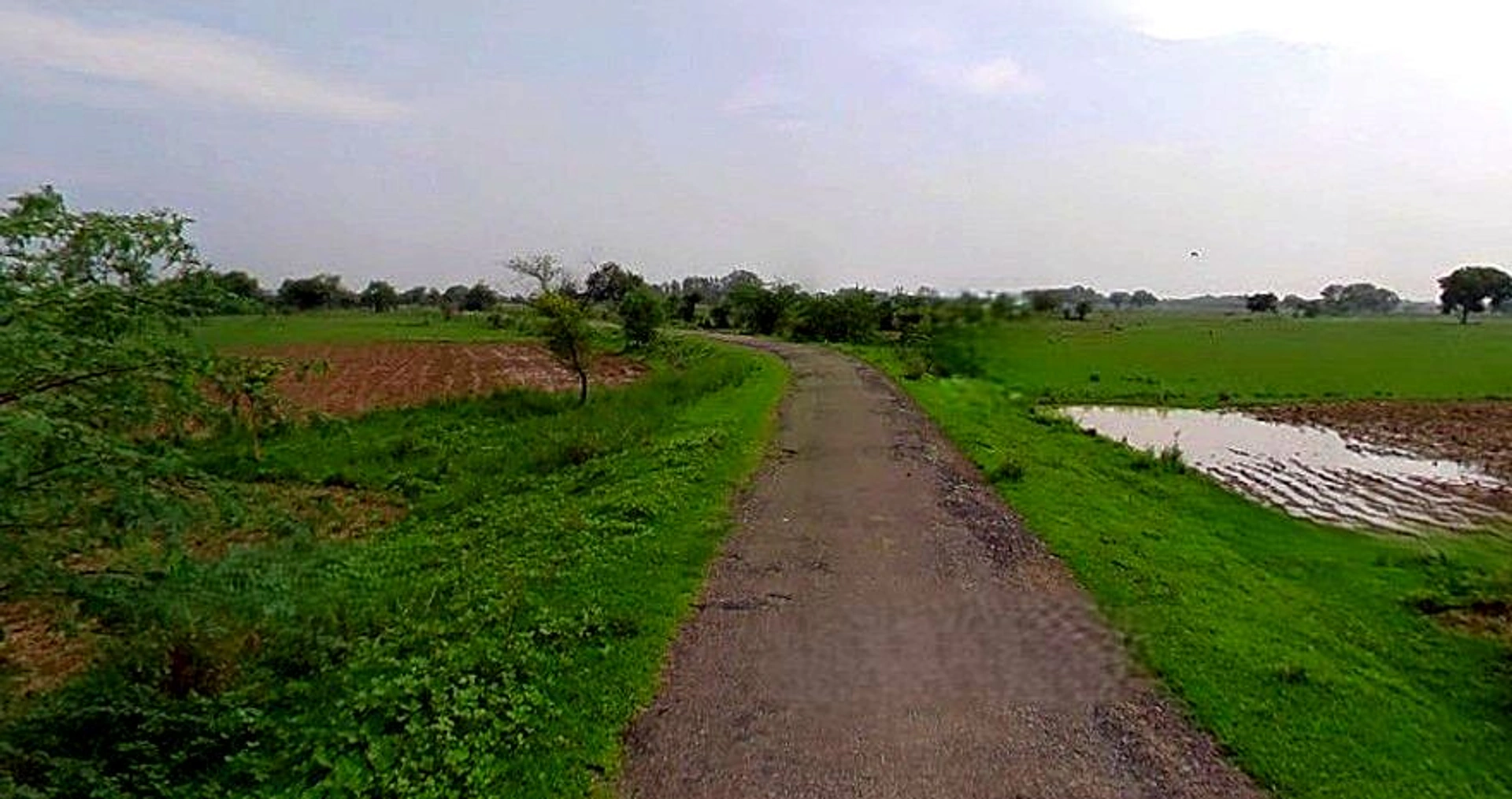 Chandla, Madhya Pradesh 471525, India