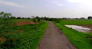 Chandla, Madhya Pradesh 471525, India preview 2