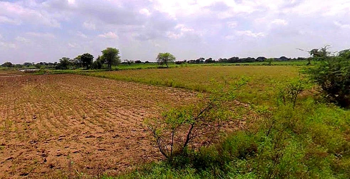 Barsana, Uttar Pradesh 281405, India