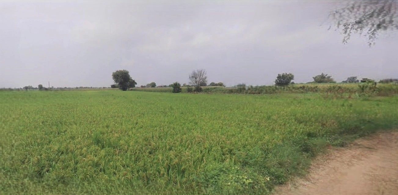 Barnagar, Madhya Pradesh 456771, India preview 2