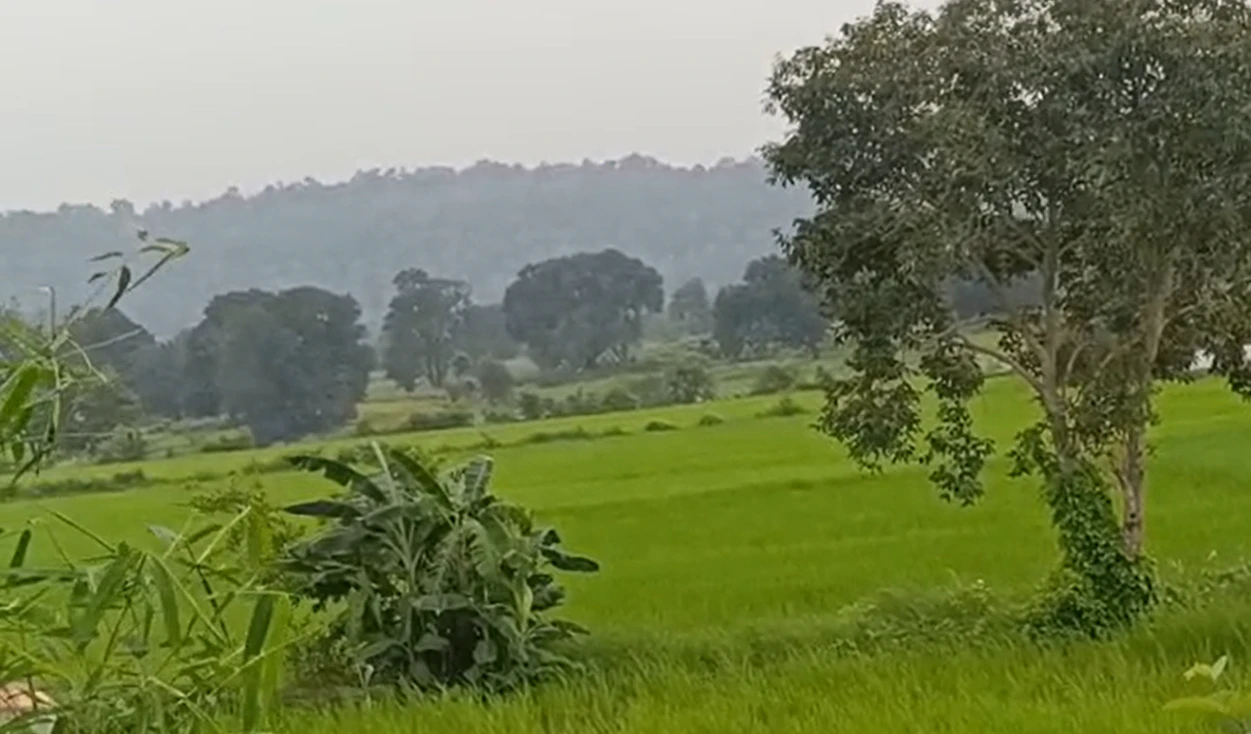 P3QG+J4 Pipartola, Seoni, Madhya Pradesh, India