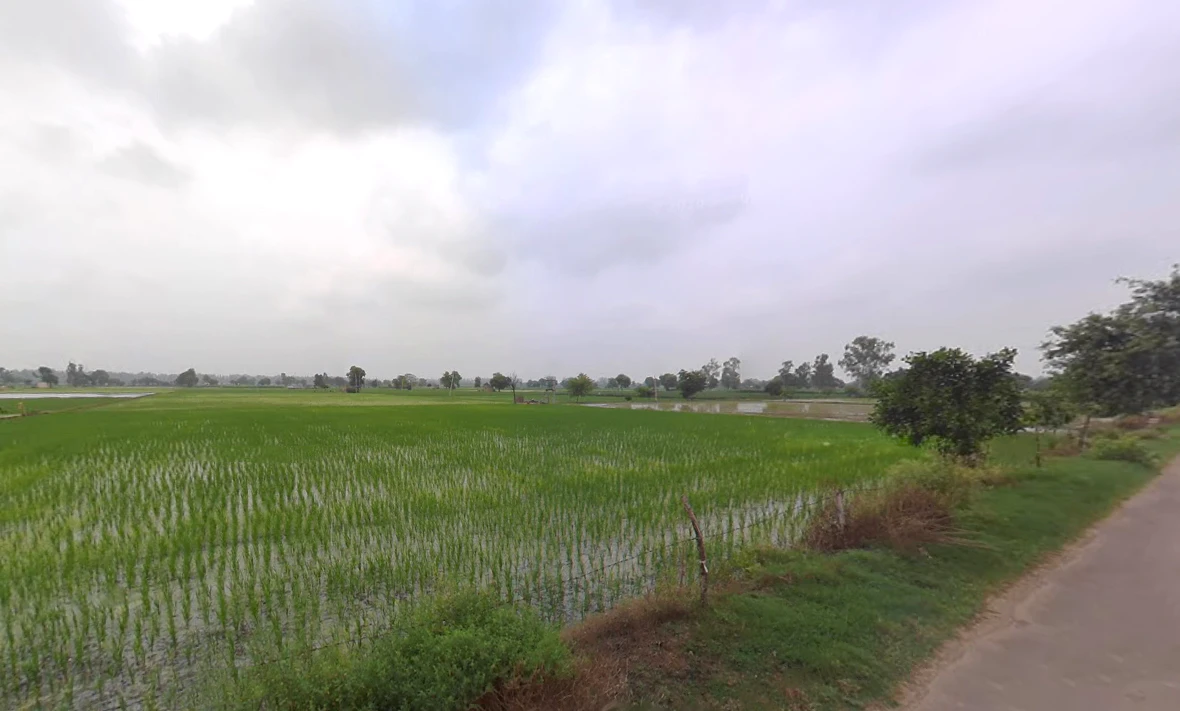 Panihari, Haryana 125121, India