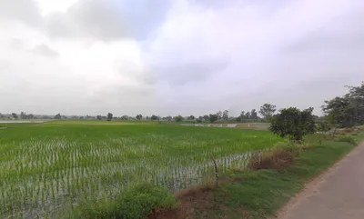 Panihari, Haryana 125121, India preview 3