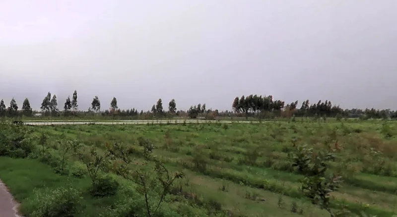 Grand Trunk Rd, Sonipat, Haryana, India preview 2