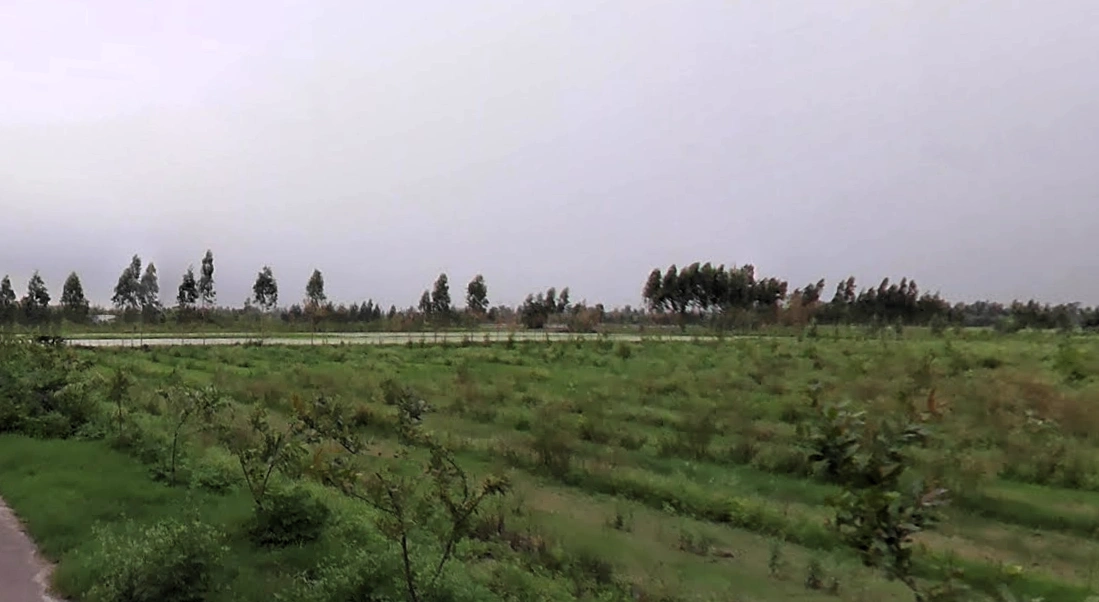 Grand Trunk Rd, Sonipat, Haryana, India