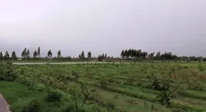 Grand Trunk Rd, Sonipat, Haryana, India preview 2