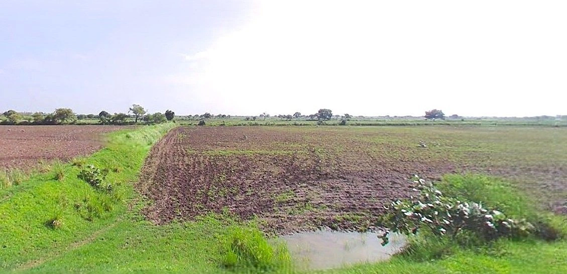 7FRQ+XR3, Bhindaulia, Uttar Pradesh 243123, India