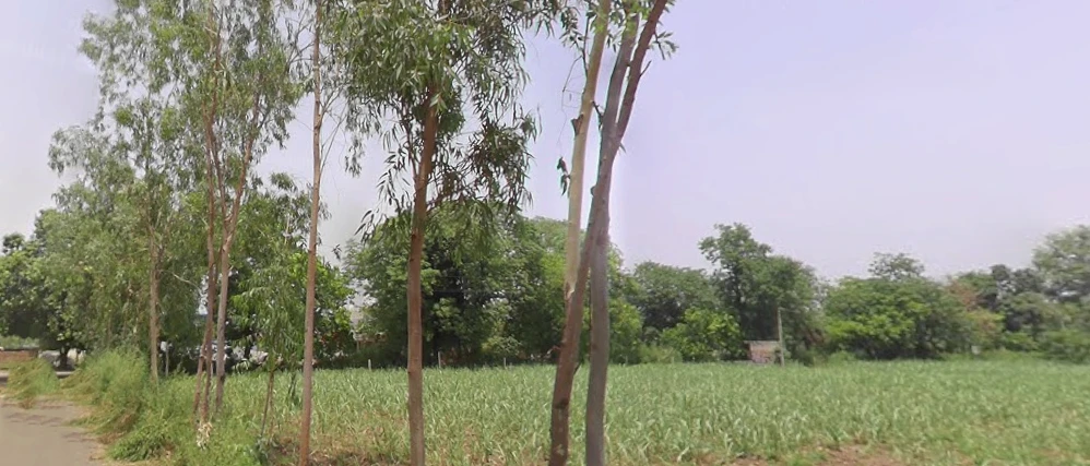Hastinapur, Uttar Pradesh 250404, India