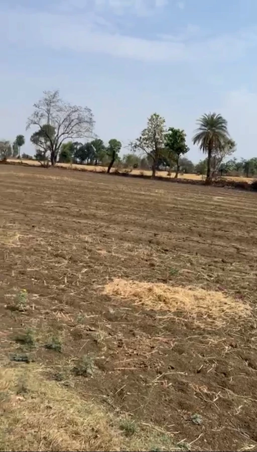 Taraisewaniya, Madhya Pradesh 462036, India