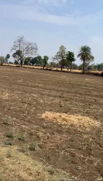 Taraisewaniya, Madhya Pradesh 462036, India preview 4