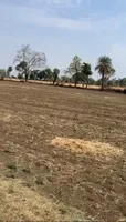 Taraisewaniya, Madhya Pradesh 462036, India preview 4