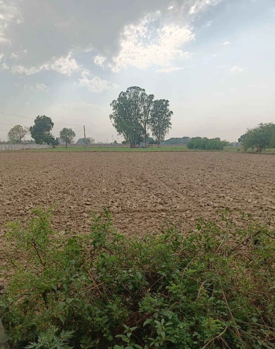 3874+4XG, Prem Nagar, Rajasthan 335523, India