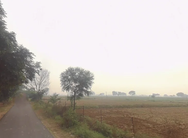 Sadabad, Uttar Pradesh 281306, India preview 2