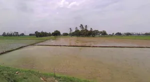 Bijnor, Uttar Pradesh 246701, India preview 3