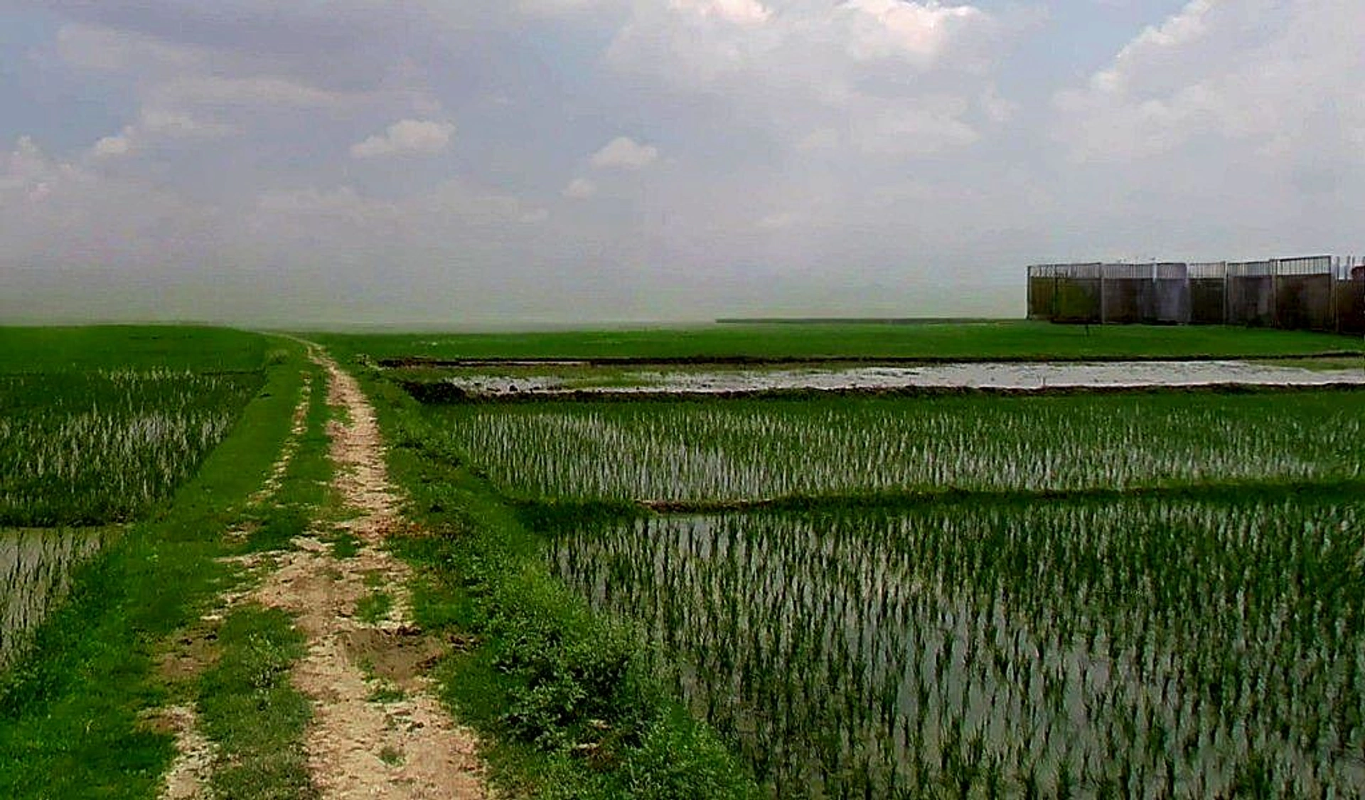 Bhadra, Chhattisgarh 493332, India