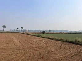 Kanoli, Haryana, India preview 2