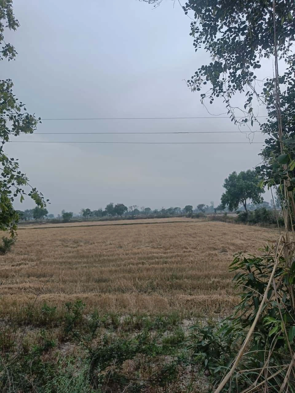 Ajijpur, Uttar Pradesh, India