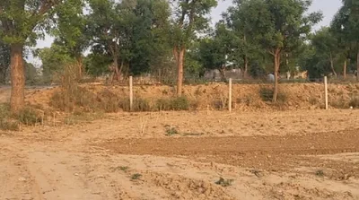 Govind Majra, Haryana, India preview 3