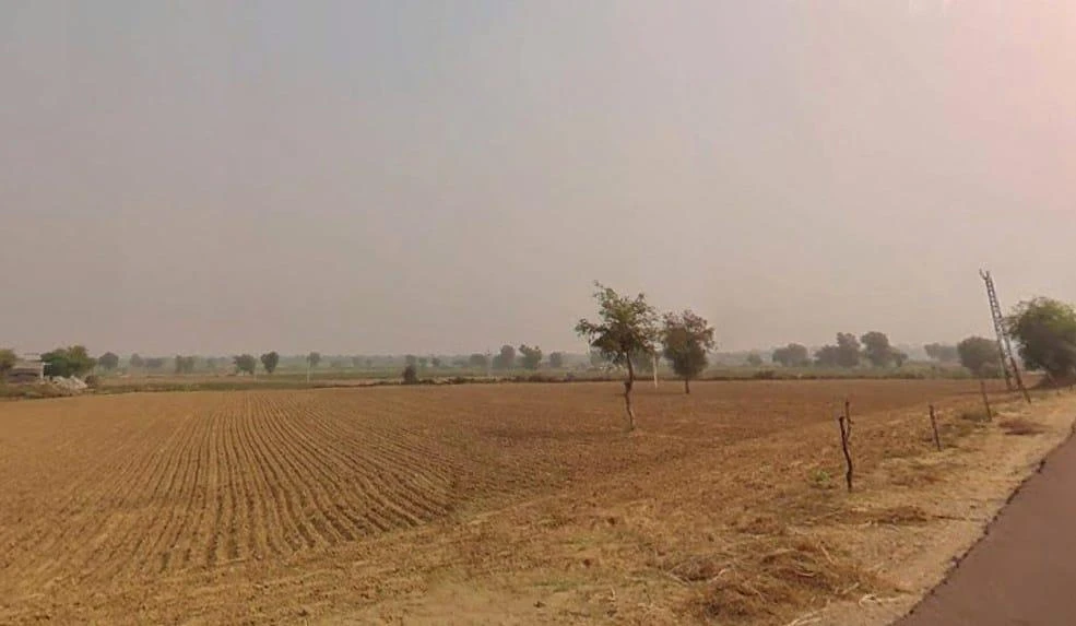 Bhopalpura, 8 Gm, Rajasthan 335703, India