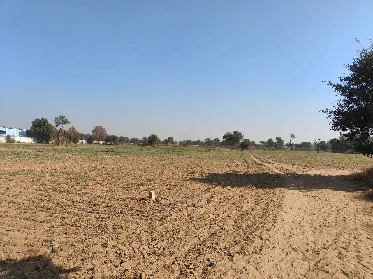 Barwa, Haryana 127045, India