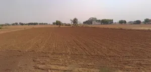 Keshwanagujar, Rajasthan, India preview 3