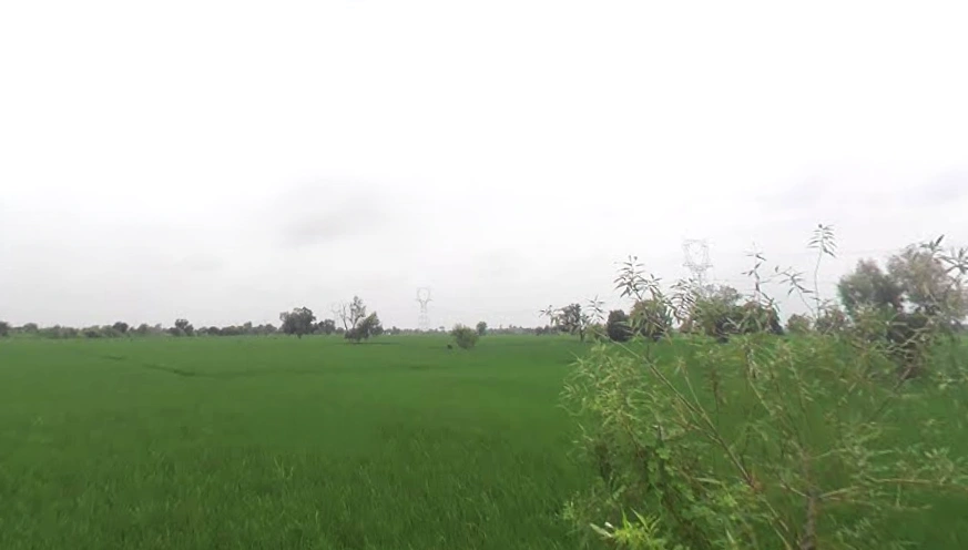 Bachhgaon, Uttar Pradesh 283204, India