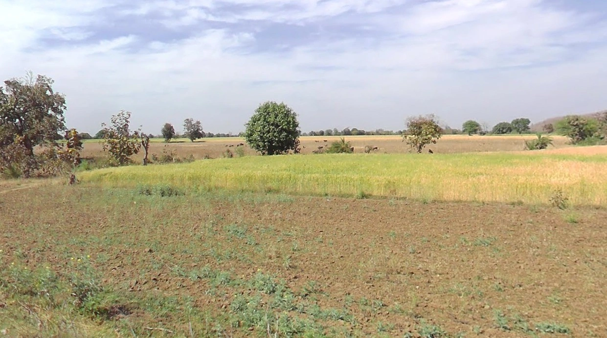 Garoth, Madhya Pradesh 458880, India