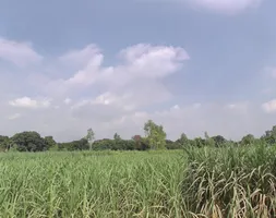 Budhana, Uttar Pradesh 251309, India preview 2
