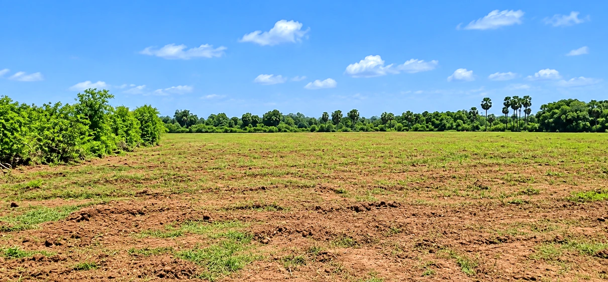 6G3Q+HX Kalluru, Khammam, Telangana, India