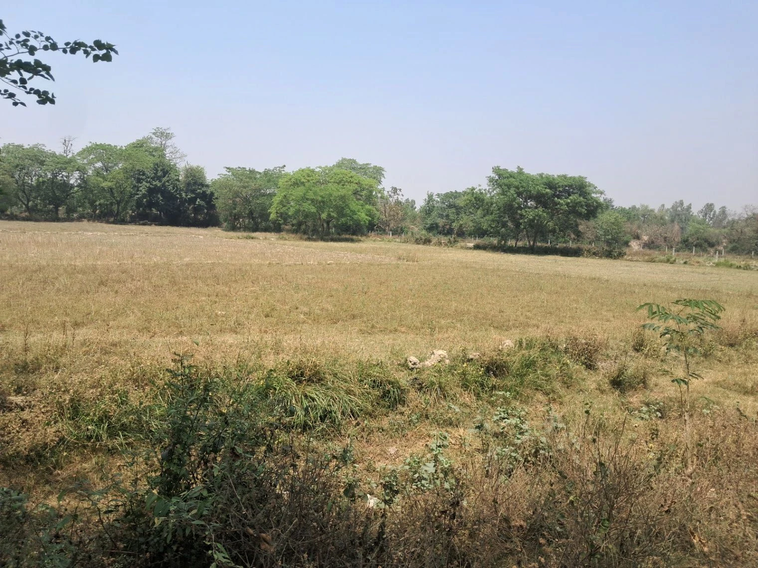 Q54H+48, Faizabad, Uttar Pradesh 224135, India