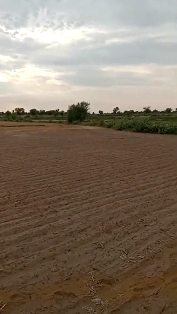 7J8R+327, Bhilwara, Mandpiya, Rajasthan 311025, India