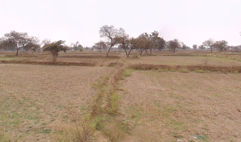 Paragaon, Chhattisgarh, India preview 3