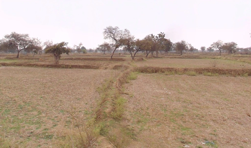 Paragaon, Chhattisgarh, India