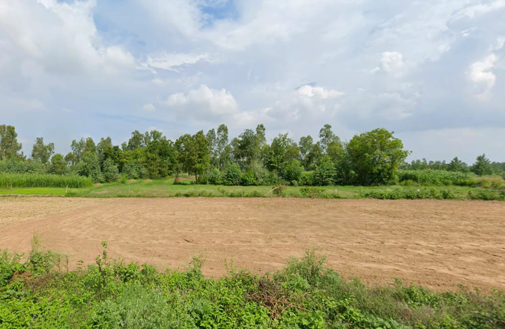 Asmoli, Uttar Pradesh 244304, India