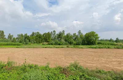 Asmoli, Uttar Pradesh 244304, India preview 2