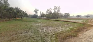 Suratgarh, Rajasthan 335804, India preview 2