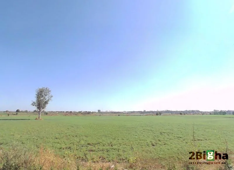 NH 46, Vidya Nagar, Mandideep, Bhopal, Madhya Pradesh, India preview 2