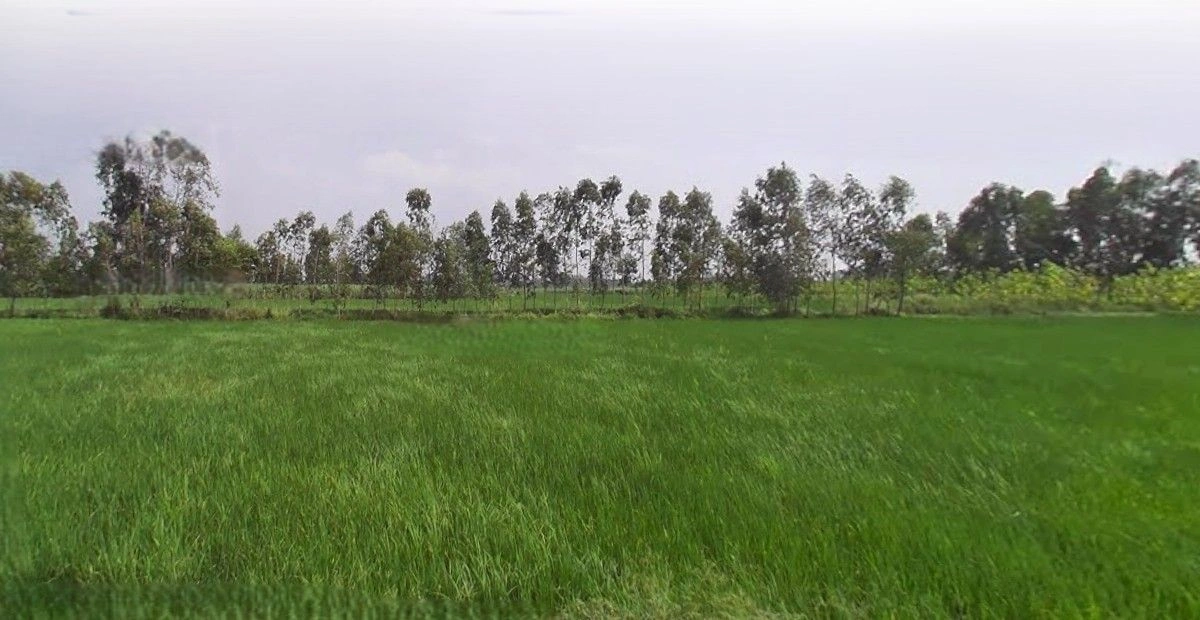 Sitarganj, Uttarakhand 262405, India