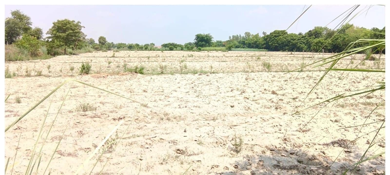 JXCH+5J Bhagi Pur, Uttar Pradesh, India