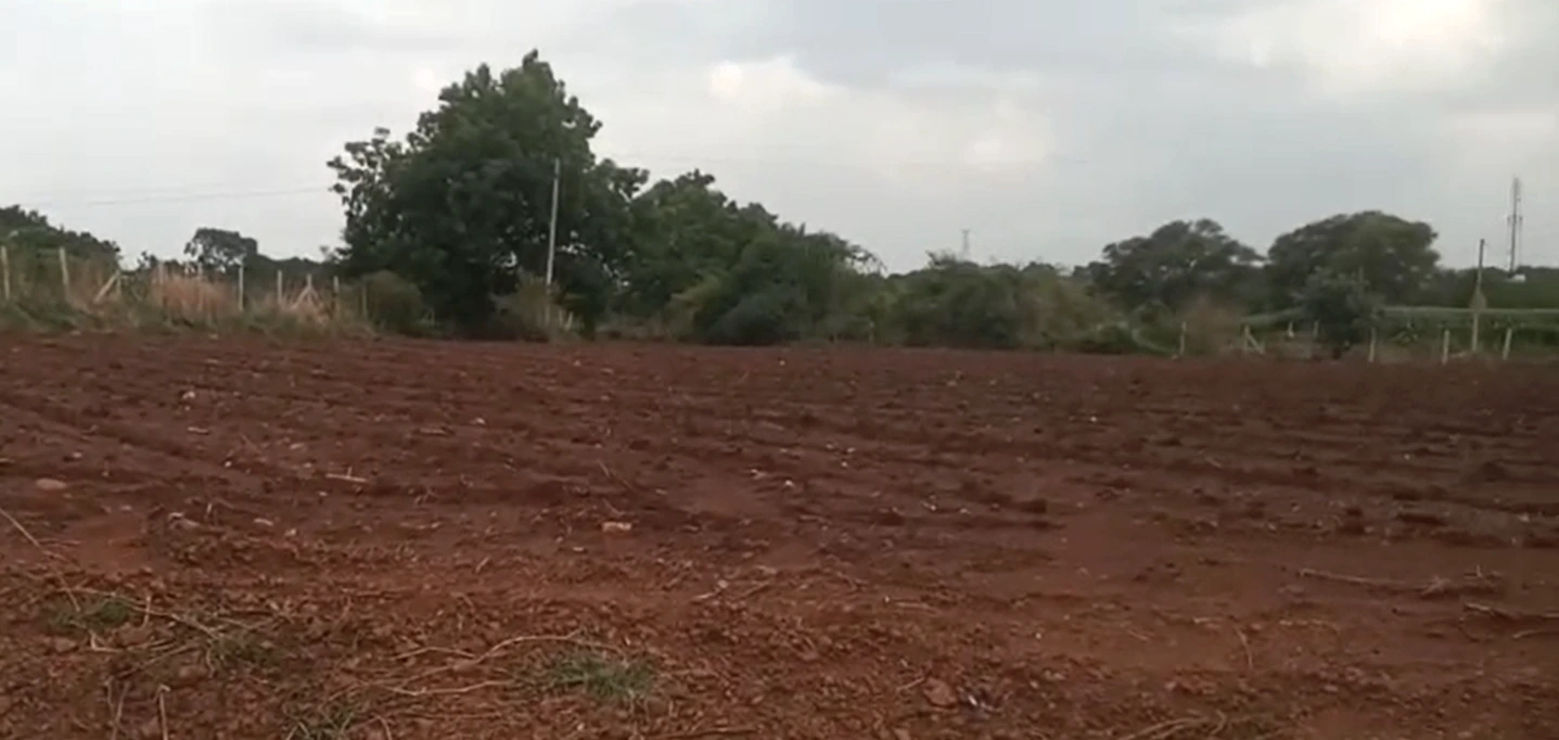 73J2+26 Bhavanipet, Kamareddy, Telangana, India - Photo 3