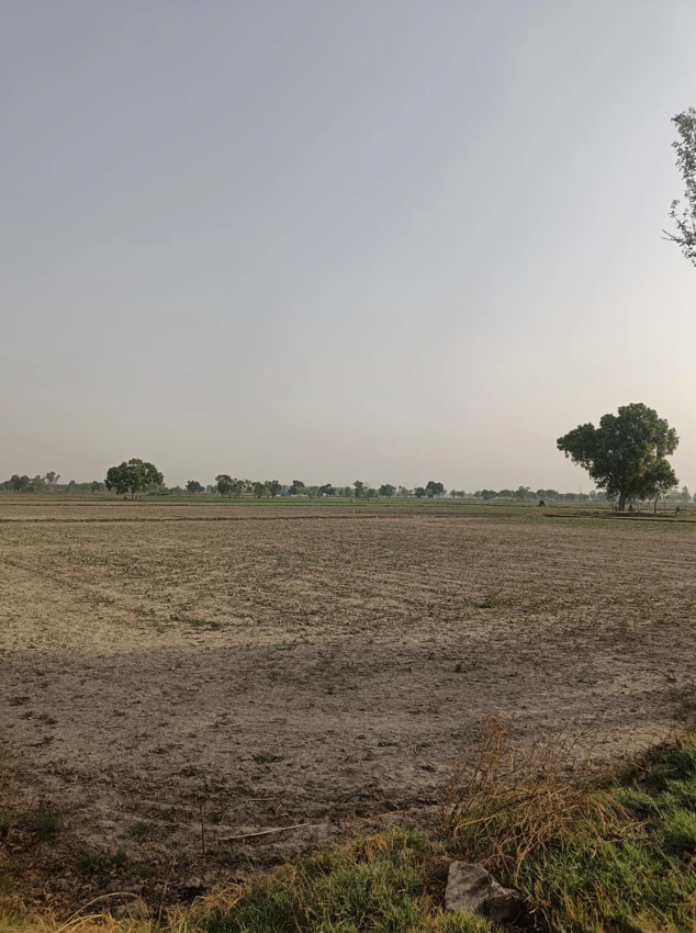 Nagla Mafi, Uttar Pradesh, India
