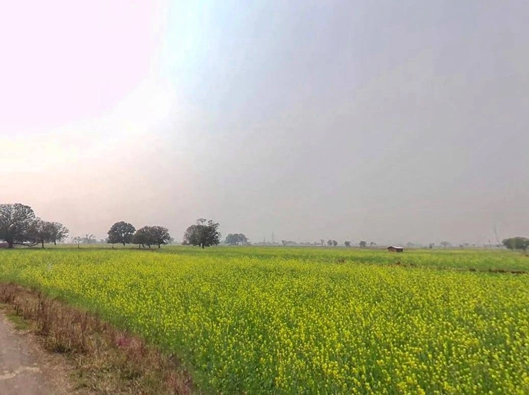 Rewa, Madhya Pradesh, India