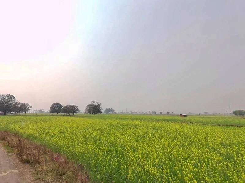 Rewa, Madhya Pradesh, India preview 2