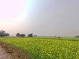 Rewa, Madhya Pradesh, India preview 2